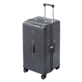 Mala De Viagem Masculina Trium Cinza